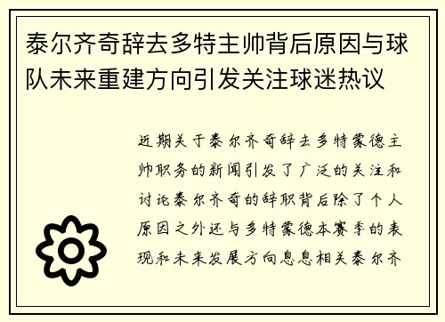 泰尔齐奇辞去多特主帅背后原因与球队未来重建方向引发关注球迷热议